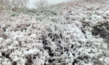 설악산국립공원, 첫 눈 ... 작년 대비 2일 늦어