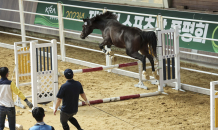 한국마사회, 2024 Young Horse Cup · 스포츠말 품평회 결승