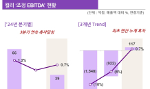 컬리, 3분기 연속 EBITDA 흑자…전년比 357억원 개선