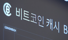 제2의 금투세, 코인 과세 추진에 투자자 반발 