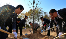 농심, ‘꿀샘식물’ 식재…