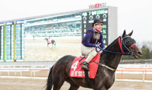 한국마사회, ‘글로벌히트’ 그랑프리 우승…김혜선 기수 