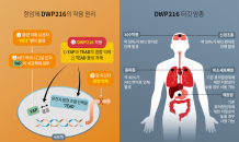 대웅제약 항암제 후보물질, 국가신약개발사업 과제로 선정