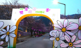 고창, 봄을 깨우다…벚꽃축제 ‘기다렸나, 봄’ 개막