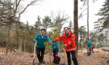완도군, 식목일 맞아 완도호랑가시나무 1500주 식재