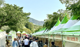 하동야생차문화축제, 성황리 종료