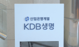 산업은행, '아픈 손가락' KDB생명 증자의 늪
