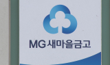 새마을금고, 내부통제 강화 대책…실효성은 '의문'