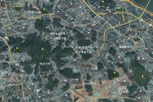 부동산