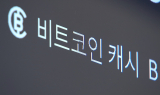 한국판 스트래티지? '비트코인 매입' 열올리는 상장사