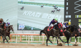 한국마사회, 하반기 한국경마 개최 예고