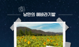 [영상뉴스] 안동시, ‘2025 안동포 세대공감 페스타’ 개최