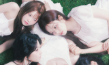 노머스 