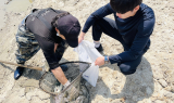 인천시, 강화 수산물 방사능 검사 강화