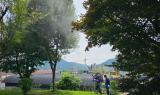 용인특례시, '산림 인근 지역 돌방병해충 방제'