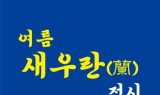'여름밤의 작은 선물'…신안군, '여름새우란' 특별전