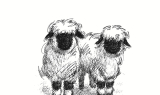 다비디퓨저, 필리핀 인플루언서 크루 ‘MCN’과 MOU