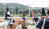 한국마사회·농식품부, 2학기 학생 승마 체험 지원