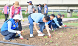 2025 황룡강 가을꽃축제, 해바라기 심기 행사로 성공 기원