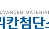 나노실리칸 