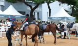 승마 대중화 속도…한국마사회, '도심승마축제' 개최