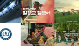 수성구 전용서체 개발 4주년, 누적 다운로드 35만 건 돌파. . .넷플릭스·TV 광고 등 전국에서 활용 · 확산