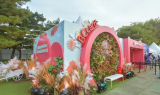 BC카드, 가을 음악 축제 'GMF 2025' 현장 이벤트 실시