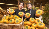 현대백화점, 전국 식품관서 '상서단감' 판매