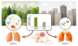 도심 속 숲 곰팡이, 다양할수록 알레르기 염증 줄어