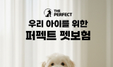 더 퍼펙트 코리아, 반려견 의료비 부담 완화 위한 ‘퍼펙트 펫 보험’ 출시 예고
