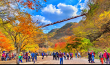 순창 강천산, 올가을 단풍철 방문객 16만 명 넘으며 '대성황'