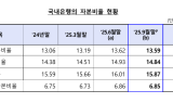 3분기 국내은행 BIS 보통주자본비율 13.59%…전 분기比 0.03%p 하락