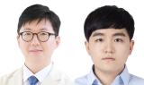 서울성모병원 연구팀, 간세포암 수술법 결정 지원하는 인공지능 모델 개발