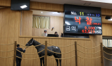 한국마사회, 2025년 마지막 경주마 경매 성료