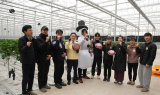 영천시, ‘지역특화 임대형 스마트팜’ 딸기 수확 현장 방문