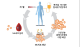 엔케이맥스, ‘슈퍼 NK’ 면역항암제 미국 임상1상 본격화