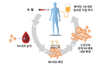 엔케이맥스, ‘슈퍼 NK’ 면역항암제 미국 임상1상 본격화