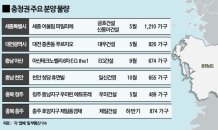 세종·대전·천안 등 충청권 2만6,000가구 분양