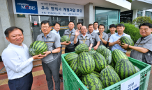 현대모비스, 17년간 우수 협력사에 감사의 수박 12만통 전달