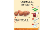 식약처, 달걀 껍데기 산란일자 표시제 전면 시행