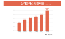 실리콘웍스, LG그룹 지원사격에 힘입어 매출 성장 기대감 '쑥'