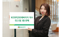 DB금투, 코스피200레버리지 지수 ELS 등 3종 판매