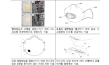 코로나19 최신 특허정보 제공하는 '특허정보 내비게이션' 개통