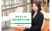 DB금투, 최저 연 2.7% 원금지급형 ELB 판매