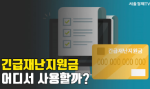 재난지원금 강남에만 4만7,000곳 사용 가능