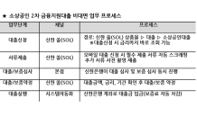 신한은행, 소상공인 2차 대출 '신한 쏠(SOL)' 비대면 가능