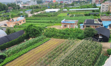 일산 풍동 지역주택사업 소송전…산넘어 산