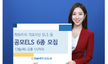 NH투자증권, 해외주식 기초자산 ELS 등 6종 모집