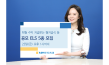 NH투자, 매월 수익 지급받는 월지급식 등 공모ELS 5종 모집