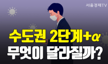 [카드 PICK] 오늘부터 수도권 '2단계+α' … 무엇이 추가되었을까?